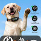 Infographic showing 3 collar modes: automatic bark control mode, remote dog training mode, and combination mode