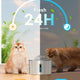 24-hour fresh water circulation feature showing cat using fountain during day and night.