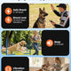 Four efficient dog training modes including safe shock, shock lock, beep sound levels, and vibration modes used in outdoor scenarios