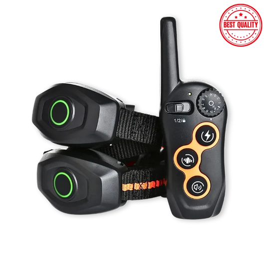 Dog training device with remote and collars on a white background, labeled 'Best Quality'.