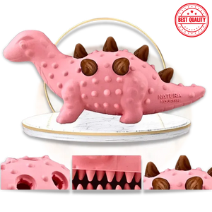 Dog Toy Treat Chew – Teeth Cleaning Snack for Dogs
