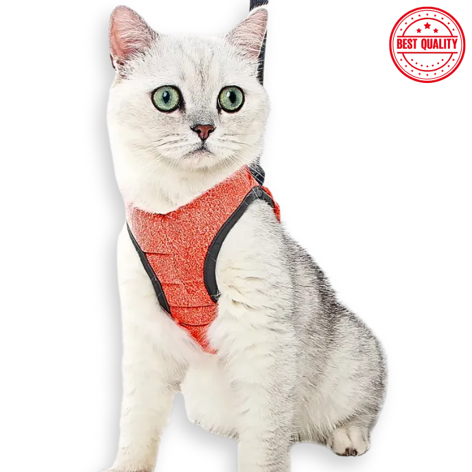 Adjustable Cat Harness & Leash wearing by cat