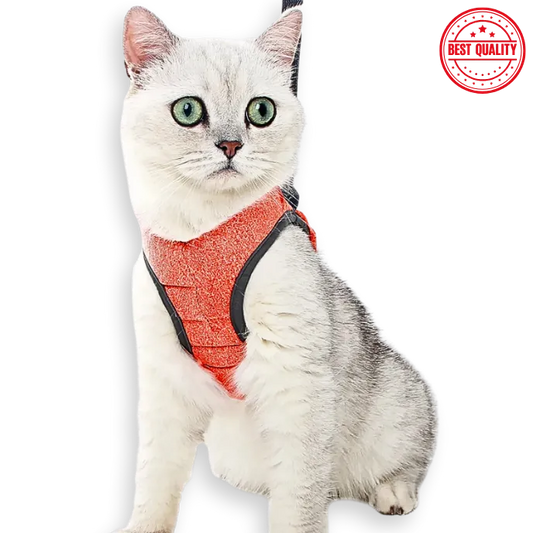 Adjustable Cat Harness & Leash wearing by cat