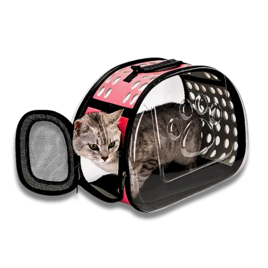 Cat inside a transparent pet carrier with pink interior on a white background