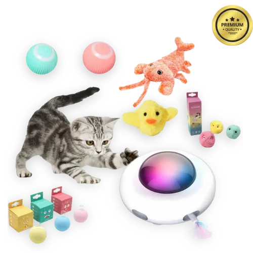Cat playing with a colorful ufo toy on a white background