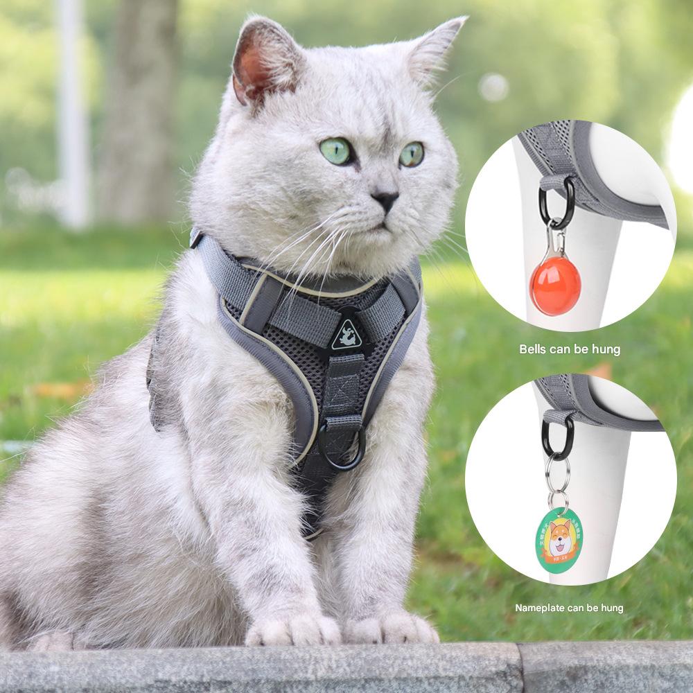 Cat wearing a harness with bell and nameplate attachments, sitting outdoors.