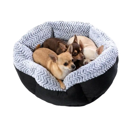 Three Chihuahuas puppy in a round pet bed with gray interior and black exterior on a white background