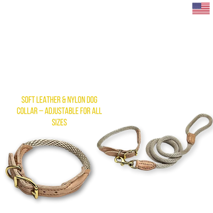 Dog collar and leash set with soft leather and nylon material on a white background.