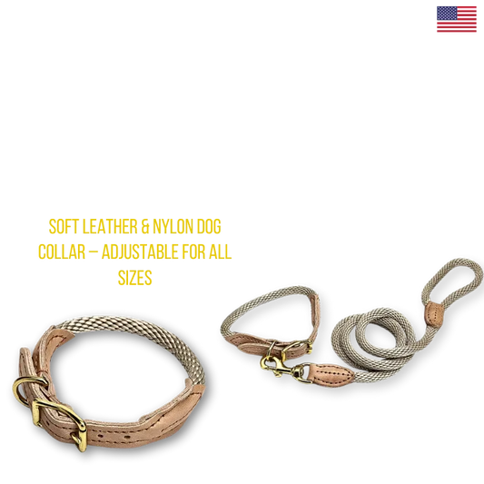 Dog collar and leash set with soft leather and nylon material on a white background.