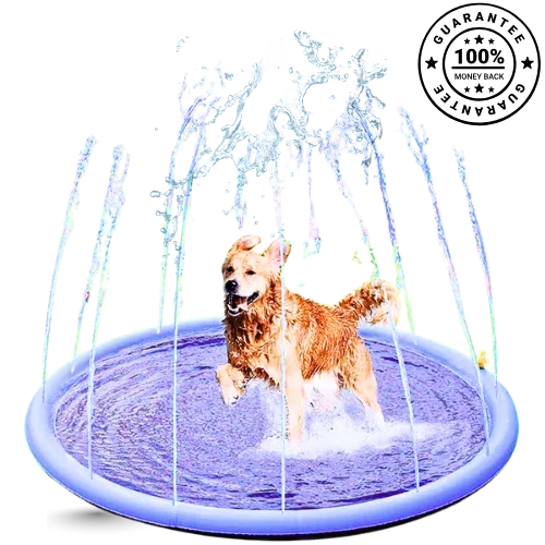 Dog playing in a blue inflatable sprinkler pad with water splashing around.