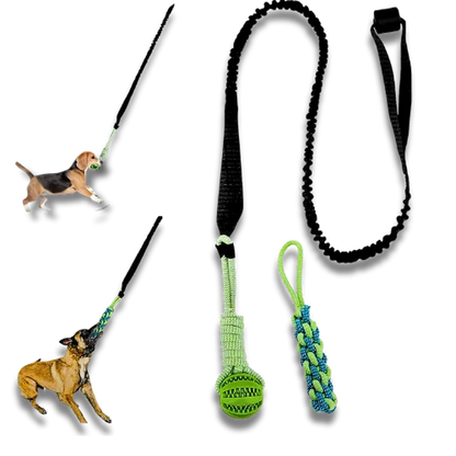 Dog toys with a ball and handle, and a leash on a white background.