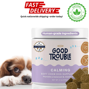 Good Trouble Pets Calming Supplement – Fruit Blend Flavor (30 Chews)