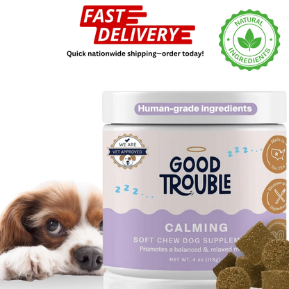 Good Trouble calming soft chew dog supplement with a dog and fast delivery text on a white background