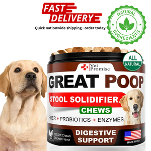 Great Poop Probiotics for Dogs   Dog Stool Softener   Fiber for Dogs