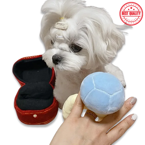 Interactive Dog Toy Ring – Voice Squeaker & Treat Dispenser