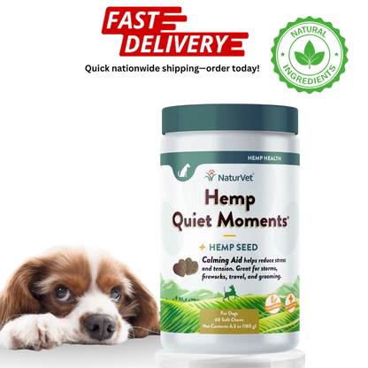 Hemp Quiet Moments supplement bottle for dogs with a puppy on a white background