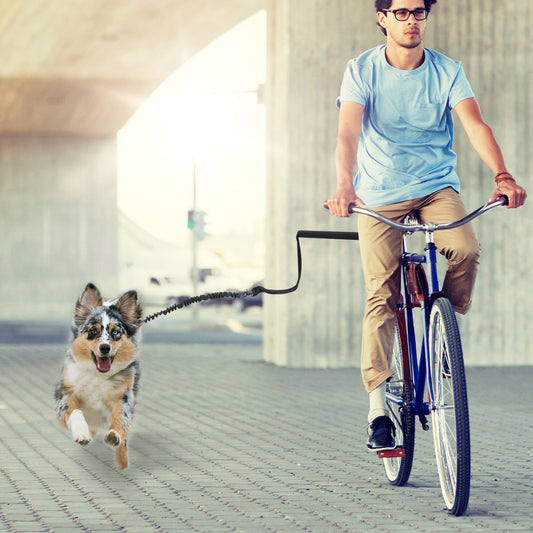 Bicycle Dog Walker Leash – Hands-Free Cycling Dog Leash with Elastic Buffer | Safe Dog Chain for Bike Rides