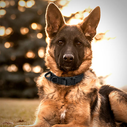 Tactical Dog Collar & Leash Set – Military-Grade for Training
