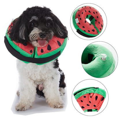 Inflatable Pet Recovery Collar – Soft Protective E-Collar
