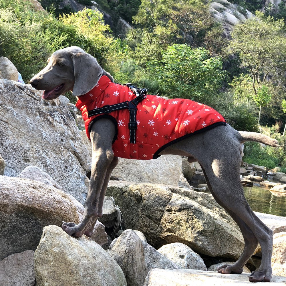 Reflective Cotton Dog Jacket – Warm & Safe Winter Coat for Pets