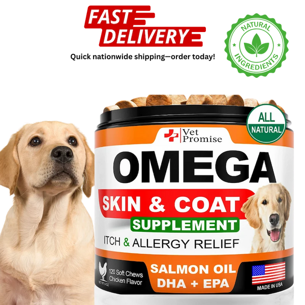 Omega skin and coat supplement for dogs with a dog on a white background