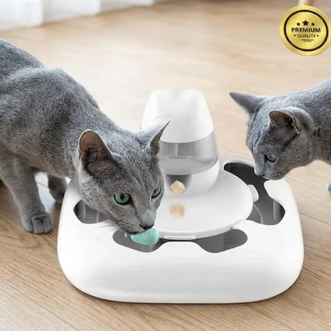 Two Russian Blue cats interacting with a white pet toy on a wooden floor.