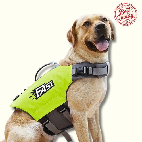 Dog wearing a green and black FAST vest on a white background