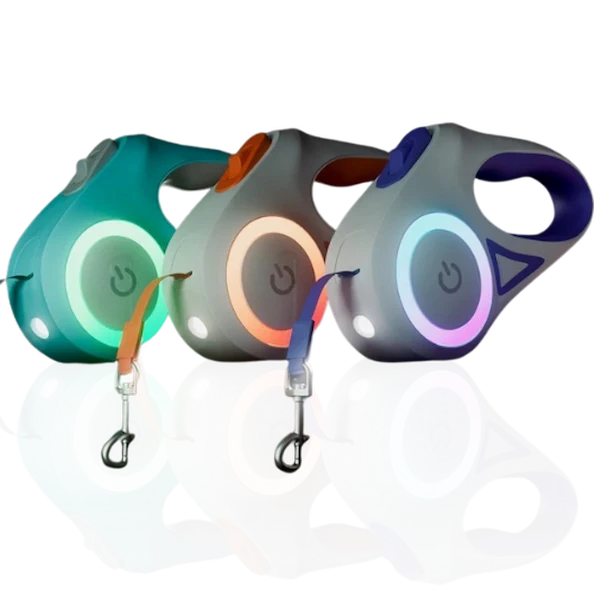 Three colorful retractable dog leashes on a white background