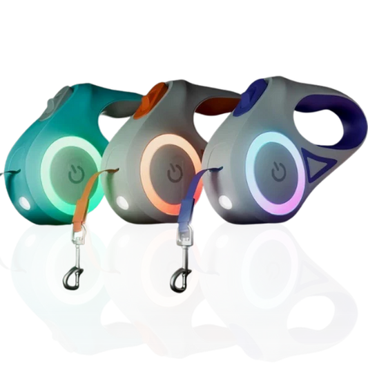 Three colorful retractable dog leashes on a white background