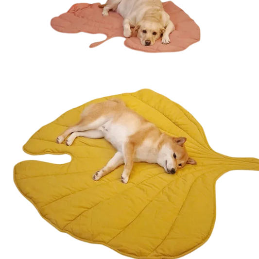 Two dogs lying on leaf-shaped mats, one pink and one yellow.