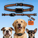 Adjustable 24.4-inch cut-to-size dog collar strap suitable for small, medium, and large dogs ranging from 5 to 120 lbs