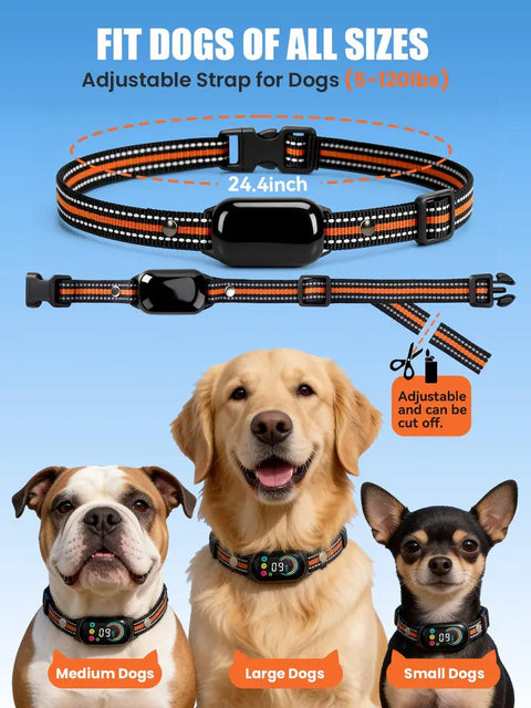 Adjustable 24.4-inch cut-to-size dog collar strap suitable for small, medium, and large dogs ranging from 5 to 120 lbs