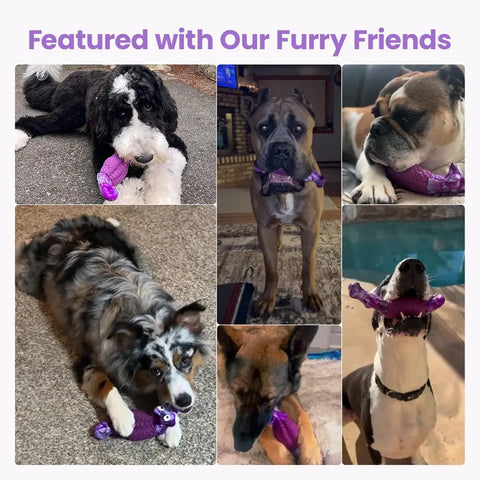 Collage showing various dog breeds including a Golden Doodle and German Shepherd enjoying the durable alligator chew toy.