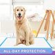 Golden Retriever sitting comfortably on a white puppy training pad inside a living room, featuring a banner for all-day protection.