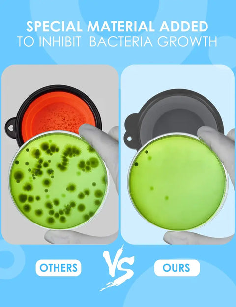Petri dish lab test comparison demonstrating antibacterial silicone material inhibiting bacteria growth in dog bowl
