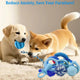 Two puppies playing with blue rubber and rope toys to reduce anxiety and prevent furniture chewing