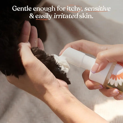 Person applying Dandylion Clean Paws gentle, no-rinse foaming cleanser to a dog's paw using the built-in silicone brush.