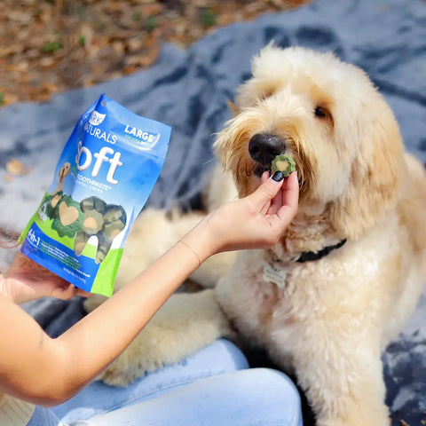 Close-up of a hand feeding a heart-shaped Ark Naturals soft baked dental chew to a dog.