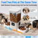 Two cats eating comfortably from a dual-bowl automatic feeder with an 18.7-inch safe distance to prevent fighting.