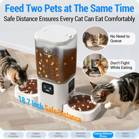 Two cats eating comfortably from a dual-bowl automatic feeder with an 18.7-inch safe distance to prevent fighting.