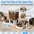 Two cats eating comfortably from a dual-bowl automatic feeder with an 18.7-inch safe distance to prevent fighting.