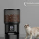 Basic button model of the black automatic pet feeder featuring a digital clock and timer display for programmable feeding times.