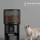 Smart WIFI model of the black automatic pet feeder showing a digital display with a Wi-Fi connectivity indicator, with a cat nearby.