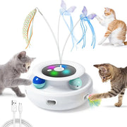 Automatic teaser featuring aging pet support, helping furry friend with anxiety relief