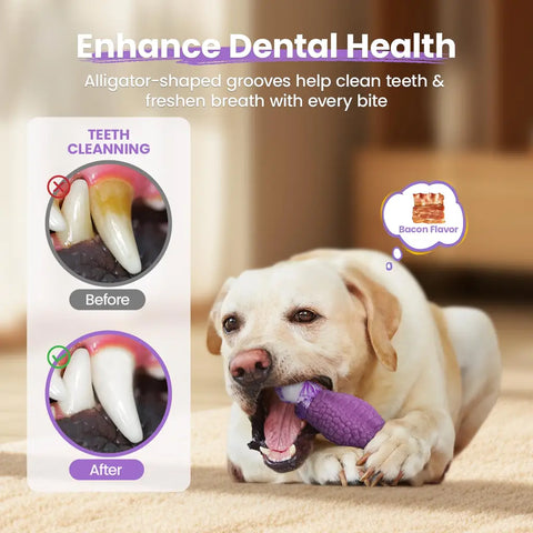 Bacon-flavored alligator dog chew toy with textured grooves to help clean teeth, remove tartar, and freshen breath.