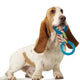 A Basset Hound puppy carrying the Orka Dental Links toy in its mouth against a white background.