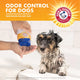 Owner pouring Arm & Hammer odor control dog shampoo onto hand next to a wet dog getting a bath in a tub.