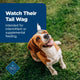 A happy Beagle dog looking up with its tail wagging, intended for supplemental feeding with Blue Buffalo treats.