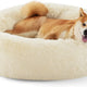 Bedsure ivory beige plush donut dog bed featuring a smiling Shiba Inu resting inside the soft padded edges.