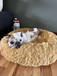Customer review photo of a white and brown French bulldog resting inside a tan beige donut bed